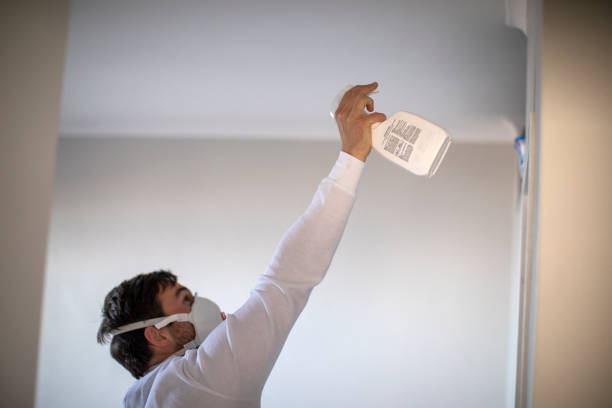 Professional Mold Removal in Killeen, TX