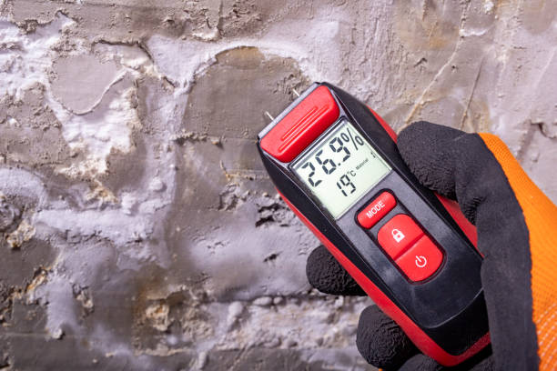 Best Mold Testing  in Killeen, TX