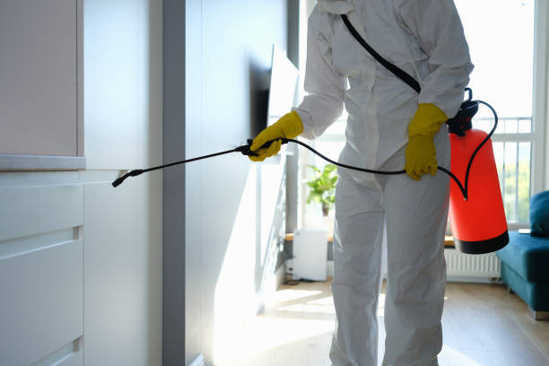Best Commercial Mold Removal  in Killeen, TX