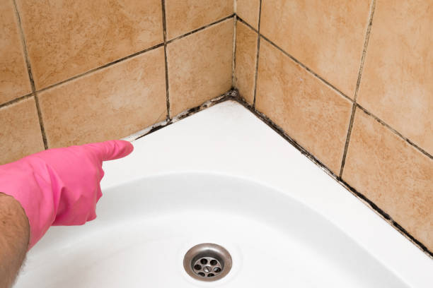 Best Emergency Mold Removal  in Killeen, TX